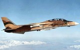 [ẢNH] Iran lệnh cho phi đội F-14 cất cánh sau khi Thiếu tướng Qasem Soleimani bị Mỹ hạ sát