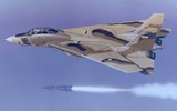[ẢNH] Iran lệnh cho phi đội F-14 cất cánh sau khi Thiếu tướng Qasem Soleimani bị Mỹ hạ sát
