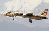 [ẢNH] F-14 Iran xua đuổi thành công 