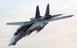 [ẢNH] F-14 Iran xua đuổi thành công 