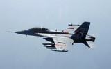 [ẢNH] EA-18G ‘độc cô cầu bại’ trong làng tiêm kích tác chiến điện tử