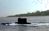 [ẢNH] Hạm đội tàu ngầm Thổ Nhĩ Kỳ chặn đường tàu Nga tới Syria?