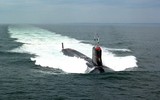 [ẢNH] Máy bay săn ngầm khổng lồ Nga chạm mặt tàu ngầm hạt nhân mạnh nhất Mỹ