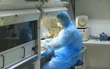 [ẢNH] Đức sẽ không để Mỹ độc quyền vắc-xin Covid-19 do nước này phát triển
