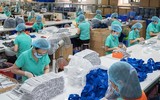 [ẢNH] Trung Quốc gửi 2,2 triệu khẩu trang, 50.000 bộ kit xét nghiệm tới châu Âu chống Covid-19