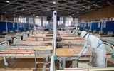 [ẢNH] Giải mã việc Mỹ và Trung Quốc lại đổ lỗi cho nhau về Covid-19?