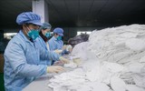 [ẢNH] Hà Lan thu hồi khẩu trang, Tây Ban Nha trả bộ kit Trung Quốc kém chất lượng