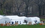 [ẢNH] Covid-19 tàn phá New York, bệnh viện dã chiến đã bắt đầu được xây