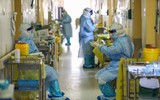[ẢNH] 61 y bác sĩ Italy chết vì Covid-19, tình nguyện viên tiếp tục xin lên tuyến đầu