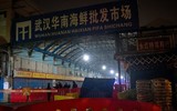 [ẢNH] Dân Vũ Hán vui buồn lẫn lộn về lệnh phong tỏa khi đại dịch Covid-19 bùng phát