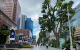[ẢNH] Singapore nguy cơ 'vỡ trận' trước đại dịch Covid-19