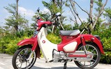 [ẢNH] Super Cub 125, mẫu xe số của Honda đắt ngang SH