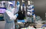 [ẢNH] Trung Quốc mượn lời WHO bác thông tin ‘dịch bệnh Covid-19 xuất phát từ phòng thí nghiệm Vũ Hán’