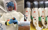 [ẢNH] Mỹ yêu cầu Trung Quốc cho tiếp cận phòng thí nghiệm virus ở Vũ Hán