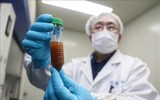 [ẢNH] Vaccine chống dịch Covid-19 có thể tới tay bác sĩ chữa bệnh vào tháng 9