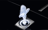 [ẢNH] 8 sự thật về quá trình sản xuất Rolls-Royce có thể bạn chưa biết