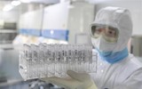 [ẢNH] Vaccine Covid-19 thử nghiệm thất bại, Phố Wall chấn động