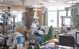 [ẢNH] ‘Nối gót’ Úc, Thụy Điển muốn EU điều tra nguồn gốc đại dịch Covid-19