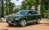 [ẢNH] 6.000 siêu xe SUV Bentley Bentayga bị triệu hồi do nguy cơ bốc cháy