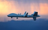 [ẢNH] Đài Loan đàm phán mua phiên bản cải tiến từ UAV 'thần chết' Mỹ