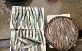 Chợ cá Nghi Thuỷ hút khách mùa du lịch biển