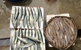 Chợ cá Nghi Thuỷ hút khách mùa du lịch biển