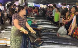 Chợ cá Nghi Thuỷ hút khách mùa du lịch biển