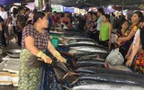 Chợ cá Nghi Thuỷ hút khách mùa du lịch biển