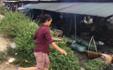 Chợ cá Nghi Thuỷ hút khách mùa du lịch biển