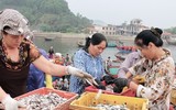 Chợ cá Nghi Thuỷ hút khách mùa du lịch biển