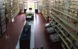 Bảo tàng Hải dương học - nơi khám phá đại dương và giáo dục về tài nguyên, chủ quyền biển đảo