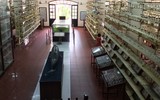 Bảo tàng Hải dương học - nơi khám phá đại dương và giáo dục về tài nguyên, chủ quyền biển đảo