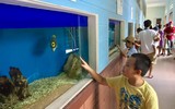 Bảo tàng Hải dương học - nơi khám phá đại dương và giáo dục về tài nguyên, chủ quyền biển đảo