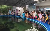 Bảo tàng Hải dương học - nơi khám phá đại dương và giáo dục về tài nguyên, chủ quyền biển đảo