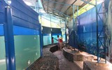 Bảo tàng Hải dương học - nơi khám phá đại dương và giáo dục về tài nguyên, chủ quyền biển đảo