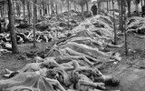 Triển lãm về cuộc đời Adolf Hitler, nhân vật lịch sử nhiều tai tiếng