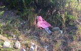 Tai nạn thảm khốc tại Mexico, 10 người chết, 16 người bị thương