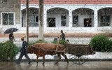 Mùa hè ở đất nước bí ẩn nhất hành tinh - Triều Tiên