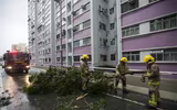 Bão Hato đổ bộ vào miền nam Trung Quốc, ít nhất 3 người thiệt mạng