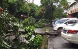 Bão Hato đổ bộ vào miền nam Trung Quốc, ít nhất 3 người thiệt mạng