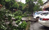 Bão Hato đổ bộ vào miền nam Trung Quốc, ít nhất 3 người thiệt mạng
