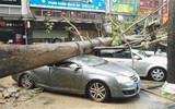 Bão Hato đổ bộ vào miền nam Trung Quốc, ít nhất 3 người thiệt mạng