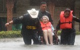 Siêu bão Havery nhấn chìm thành phố Houston