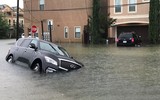 Siêu bão Havery nhấn chìm thành phố Houston