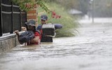 Siêu bão Havery nhấn chìm thành phố Houston