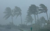 Siêu bão Irma tàn phá nghiêm trọng các đảo ở Caribe