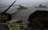 Siêu bão Irma tàn phá nghiêm trọng các đảo ở Caribe
