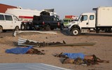 Xả súng và đánh bom đẫm máu ở Iraq, ít nhất 140 người thương vong