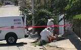 Mexico: Xung đột giữa quân đội chính phủ và băng nhóm tội phạm làm 9 người thiệt mạng