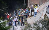 Động đất kinh hoàng ở Mexico: Thương vong tăng chóng mặt